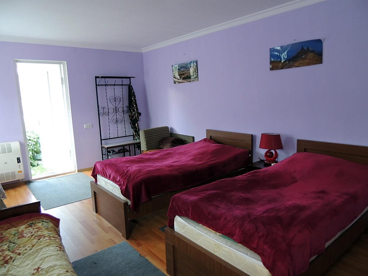 Nino Khetaguri Guest House Kazbegi Esterno foto