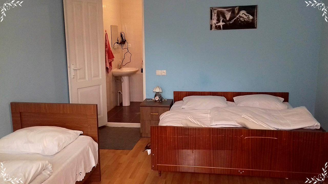 Nino Khetaguri Guest House Kazbegi Esterno foto