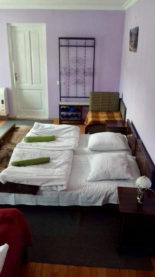 Nino Khetaguri Guest House Kazbegi Esterno foto