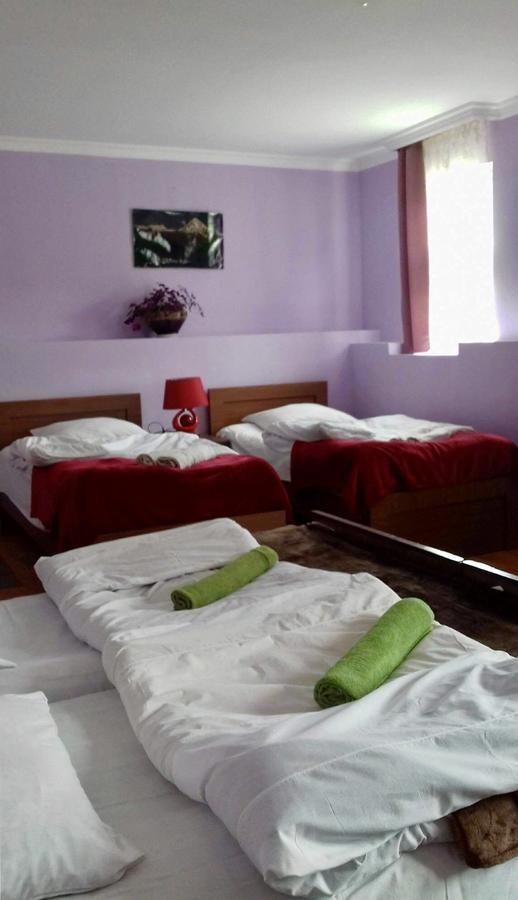 Nino Khetaguri Guest House Kazbegi Esterno foto