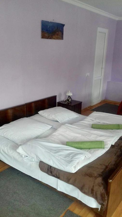 Nino Khetaguri Guest House Kazbegi Esterno foto