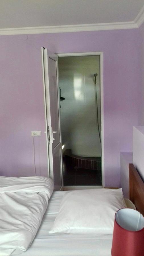 Nino Khetaguri Guest House Kazbegi Esterno foto