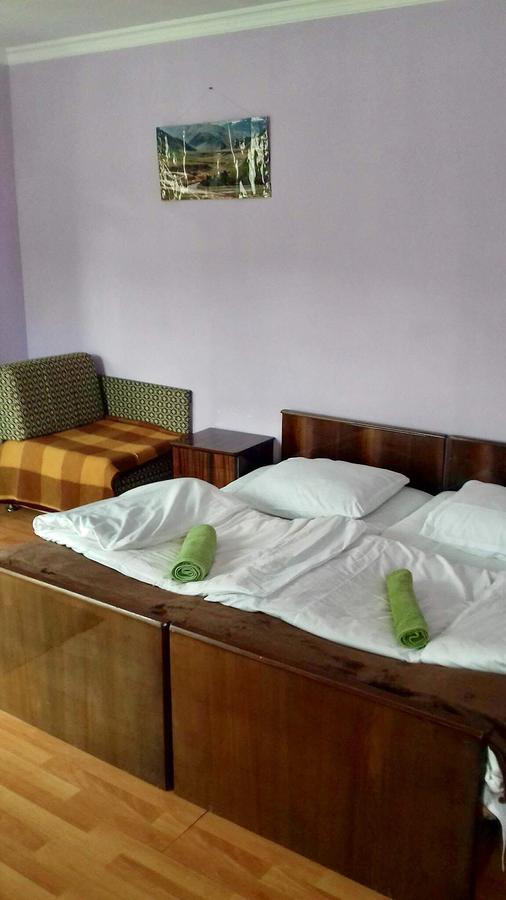 Nino Khetaguri Guest House Kazbegi Esterno foto