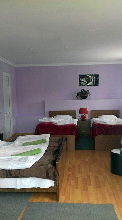 Nino Khetaguri Guest House Kazbegi Esterno foto